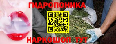 spice Партизанск