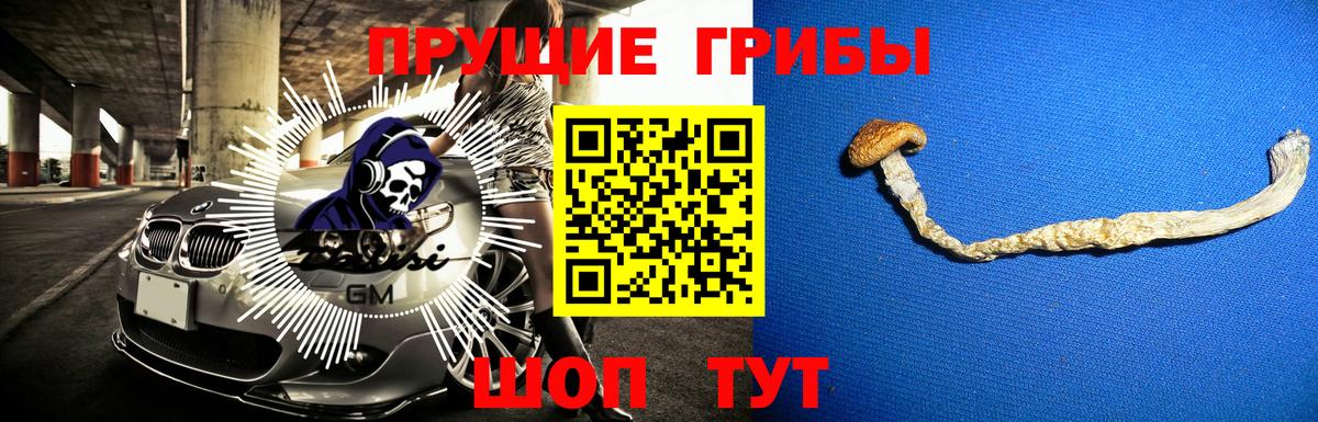 Сертолово  Псилоцибиновые грибы Magic Shrooms  Вход с VPN 